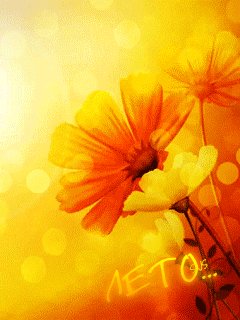 file_56560170