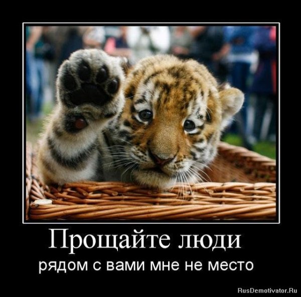 Прощайте люди...