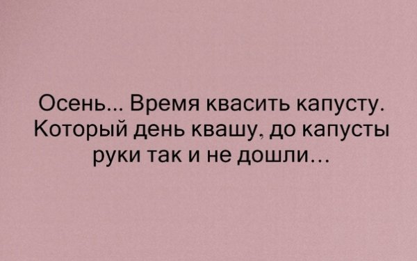 b26IbSzL5Eg