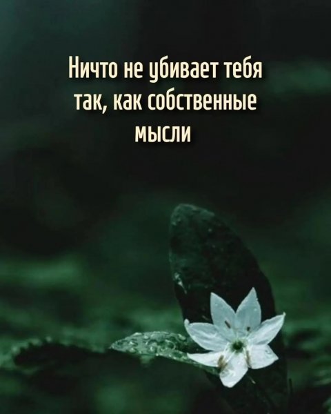 Img 2 1778120792164