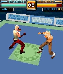 MI Winning Fighter