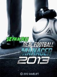 Real Football Manager 2013 rus