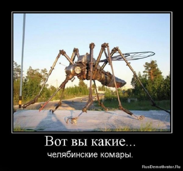 Челябинские комары
