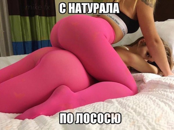file_75079541