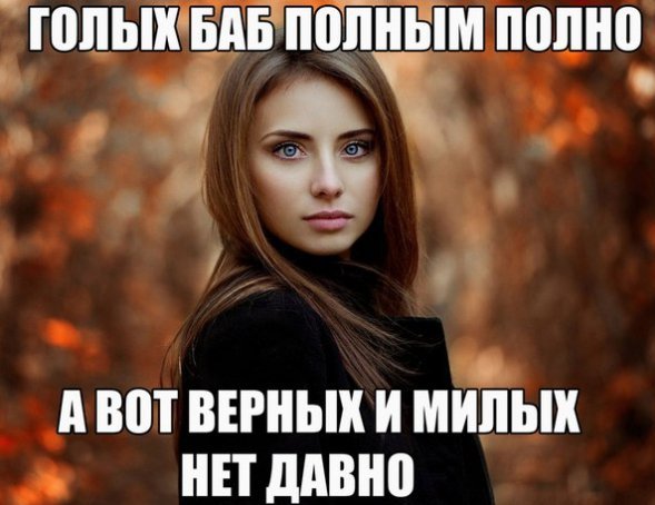 IMG 20260408 053142