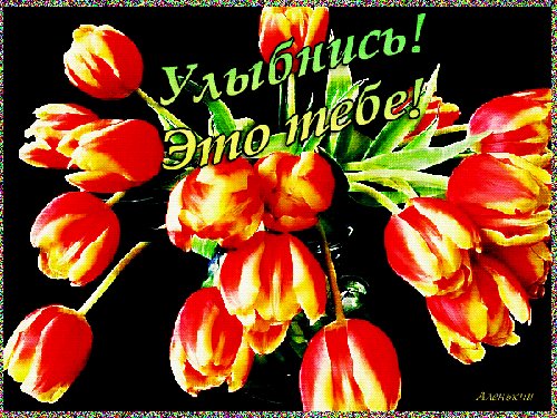 IMG 20230727 164047