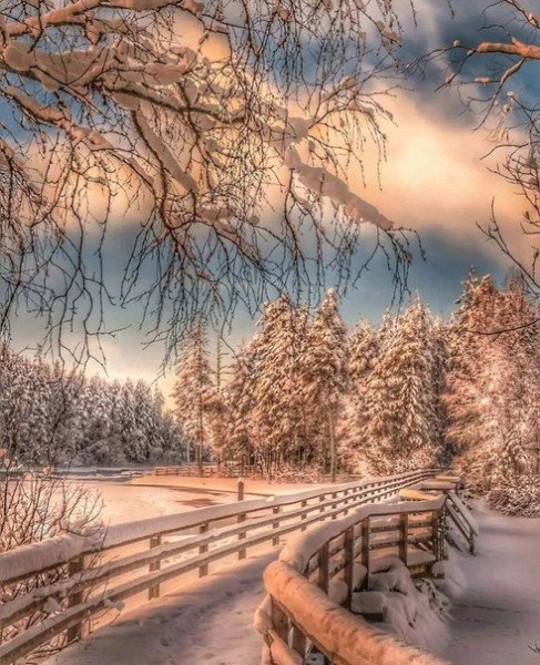 file_95463534