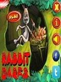 Rabbit Dares