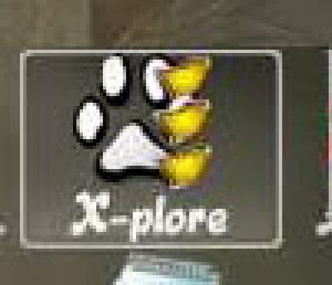 x-plore-by-beliniy-new
