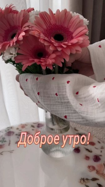 file_97092388