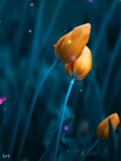 file_47718103