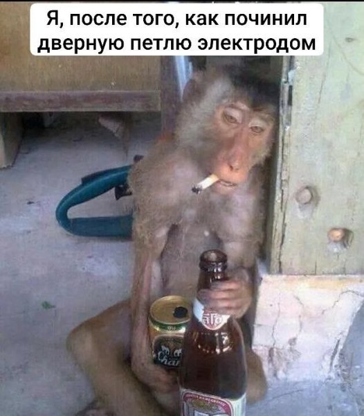 file_103302999