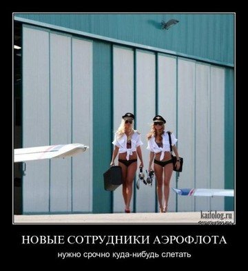 file_66633023