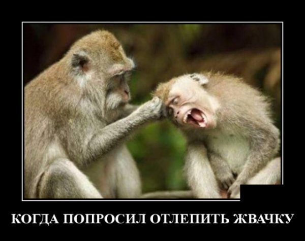 file_77430465