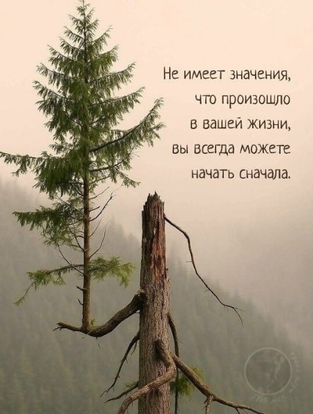 file_101658565