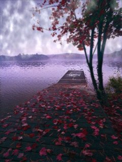 file_46993533