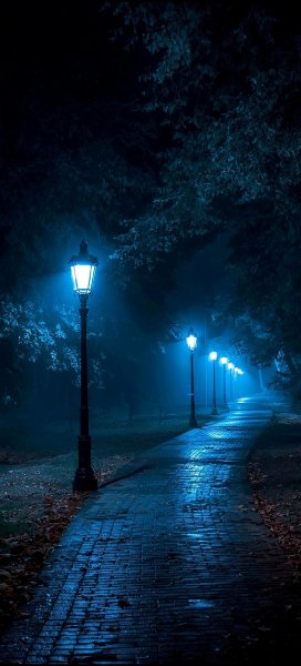 file_101794097