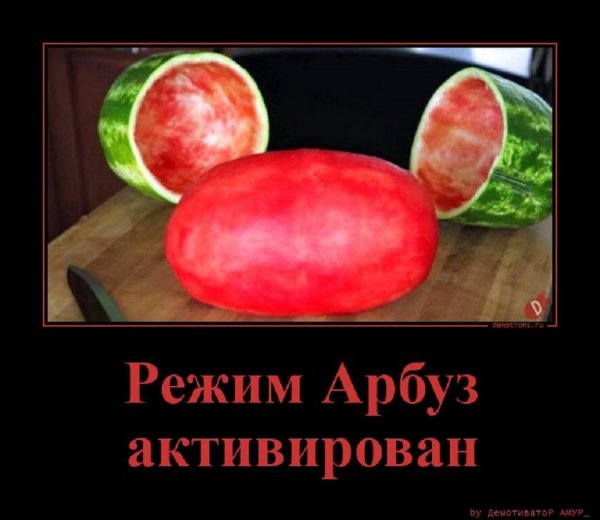 Арбуз