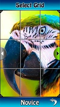 jigsaw puzzle