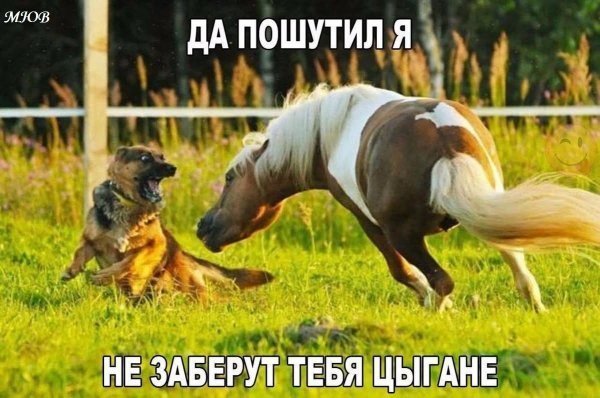 FB IMG 1778184722505