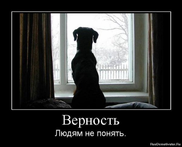 ВЕРНОСТЬ...