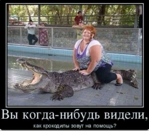 file_99000228