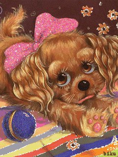 file_31724097