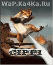 Cippi