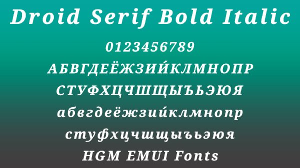 Droid Serif Bold Italic.hwt