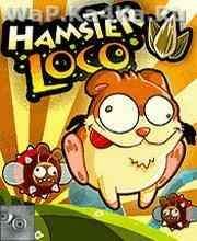 Hamster Loco