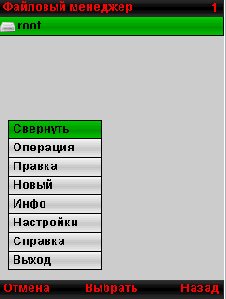 File Manager