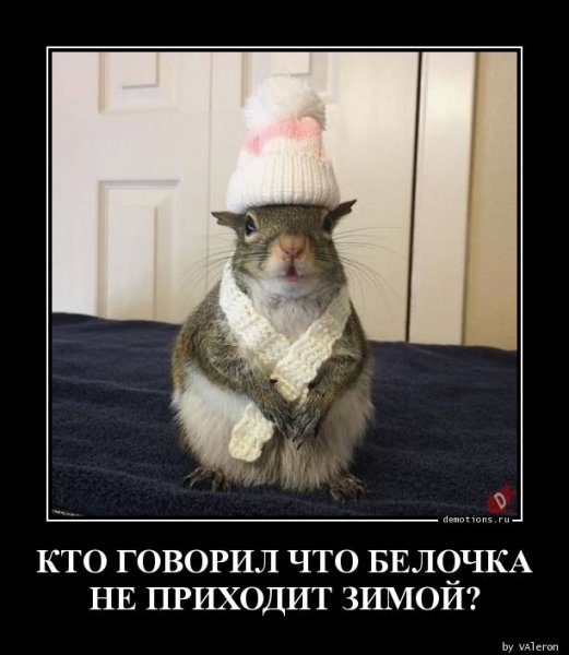 kto-govoril-chto-bel-demotions-ru