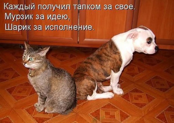 FB IMG 1778184585541