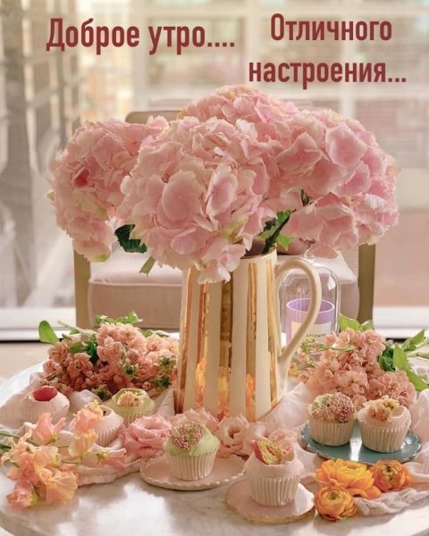 Доброе утро... Отличного настроения!