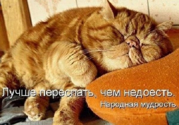 Лучше переспать, чем недоесть...