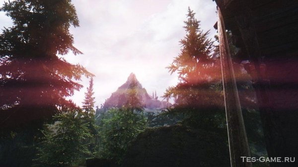 file_54844848