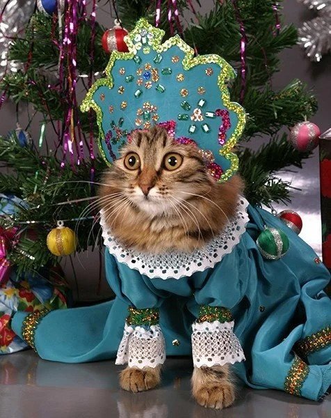 Новогодний кот. (19)