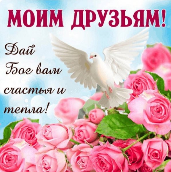 file_98088367