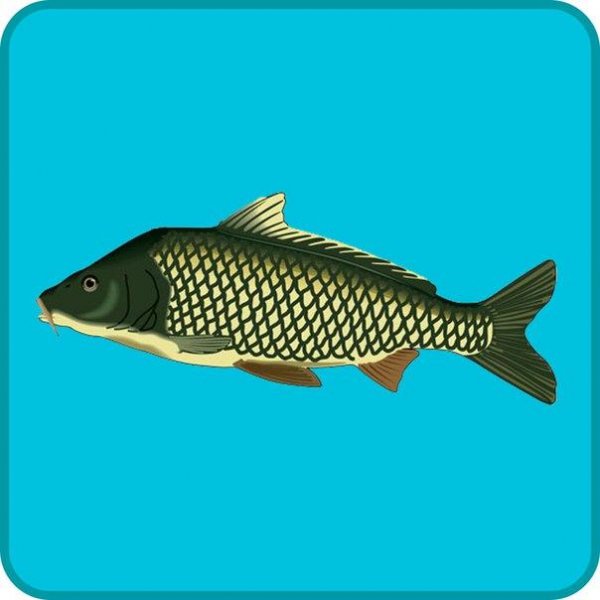 Реальная Рыбалка 1.9.6.379