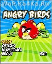 Angry Bird
