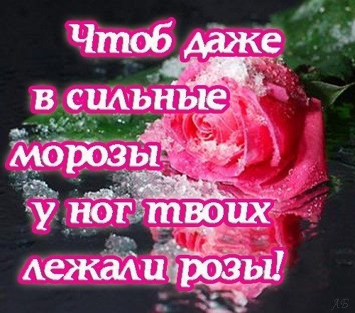el9qsVcgIdw