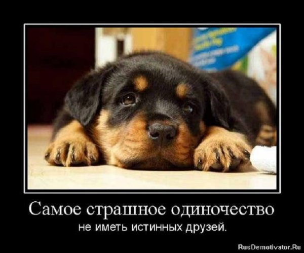 Одиночество