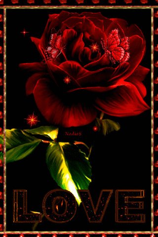 file_63431667