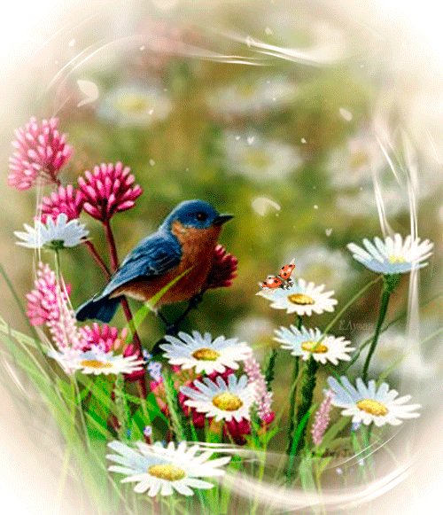 file_64272172