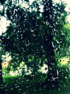file_48743645