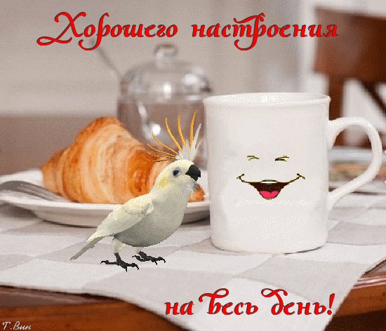 IMG 20191023 100118