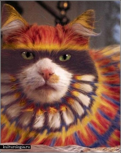 animal art9 (1)