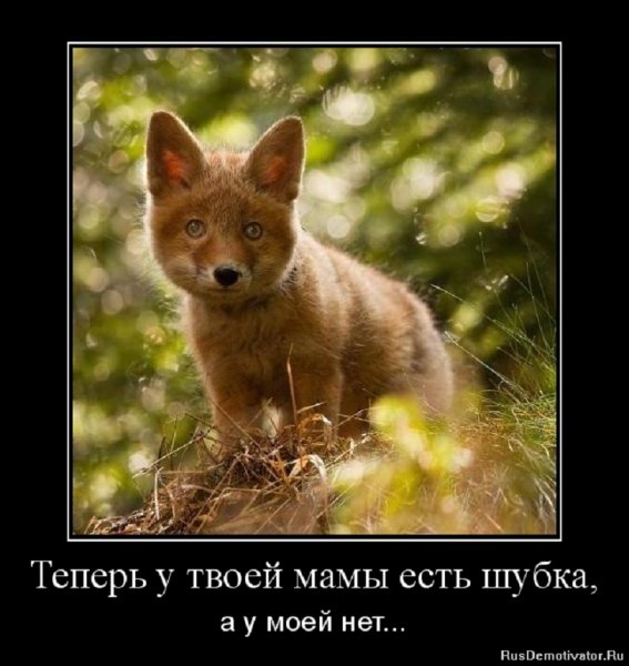 Теперь у твоей мамы есть шубка, а у моей нет