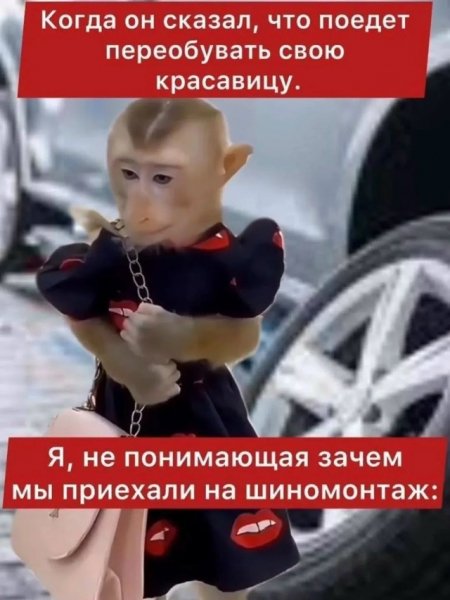 file_102603716
