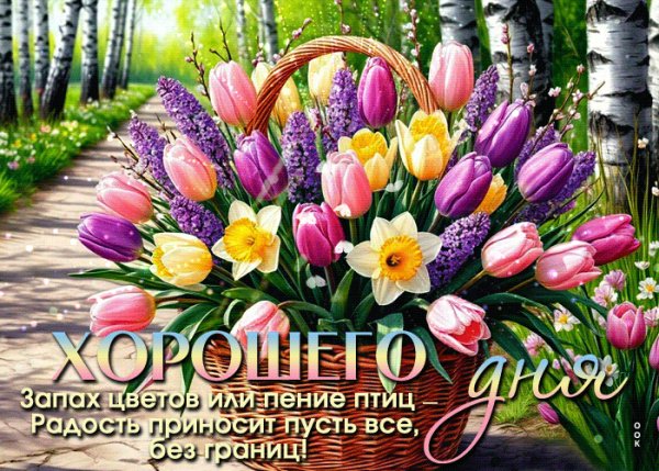 file_102361048